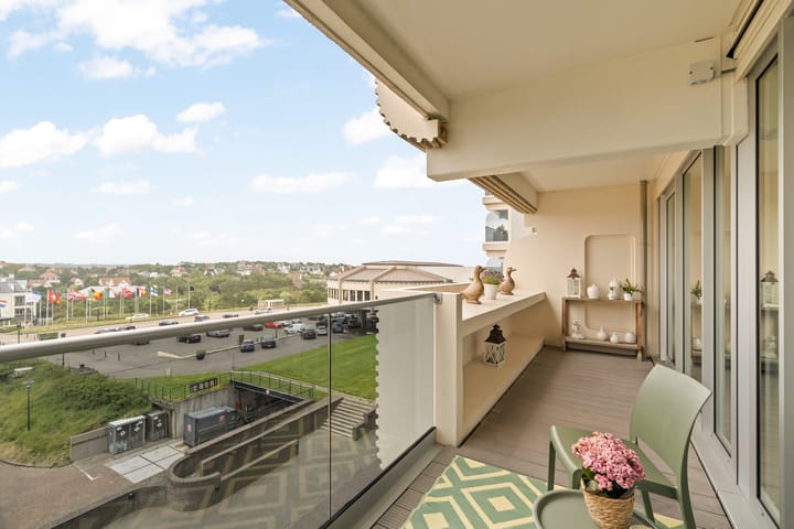 Photo 8 of Duinroos 37