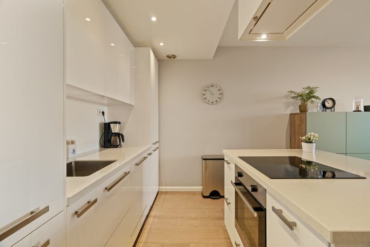 Photo 15 of Duinroos 37