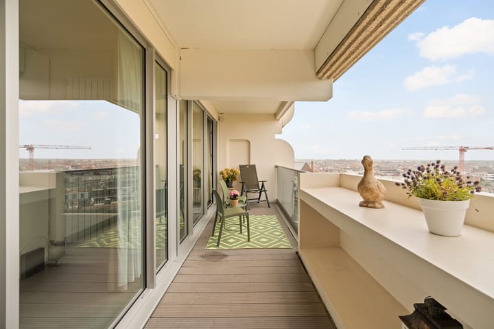 Photo 20 of Duinroos 37