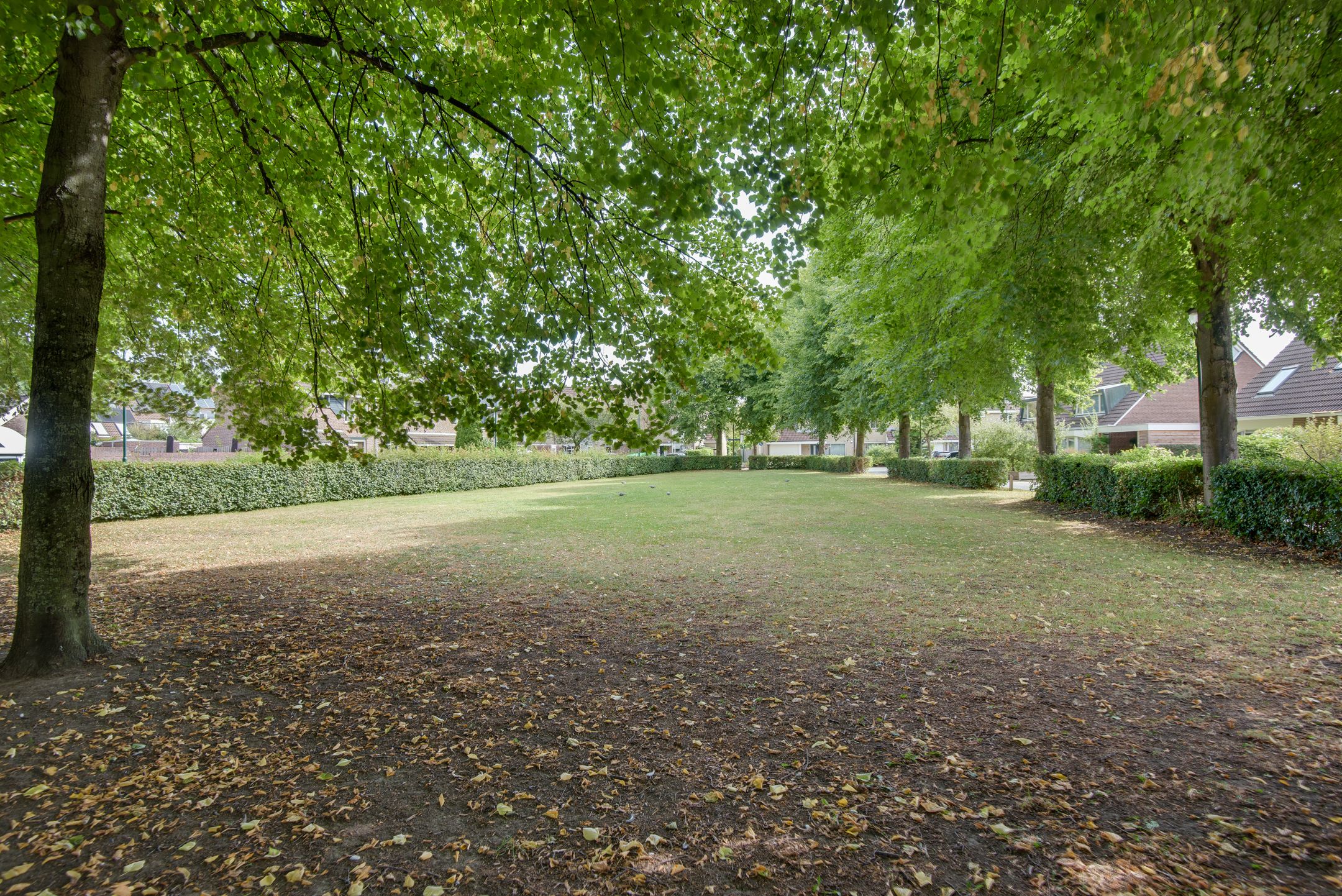 Foto 6 van Kempenaar 60