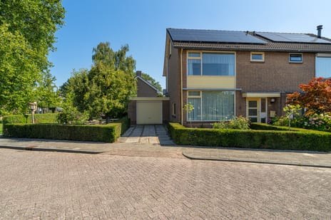 undefined main image