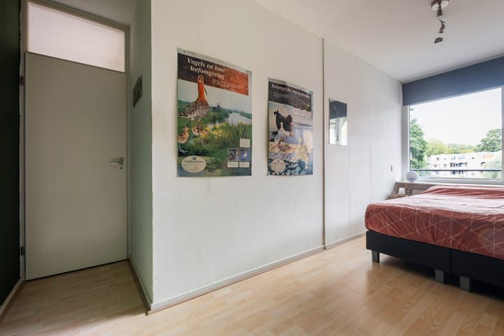 Foto 19 van Muiderschans 15