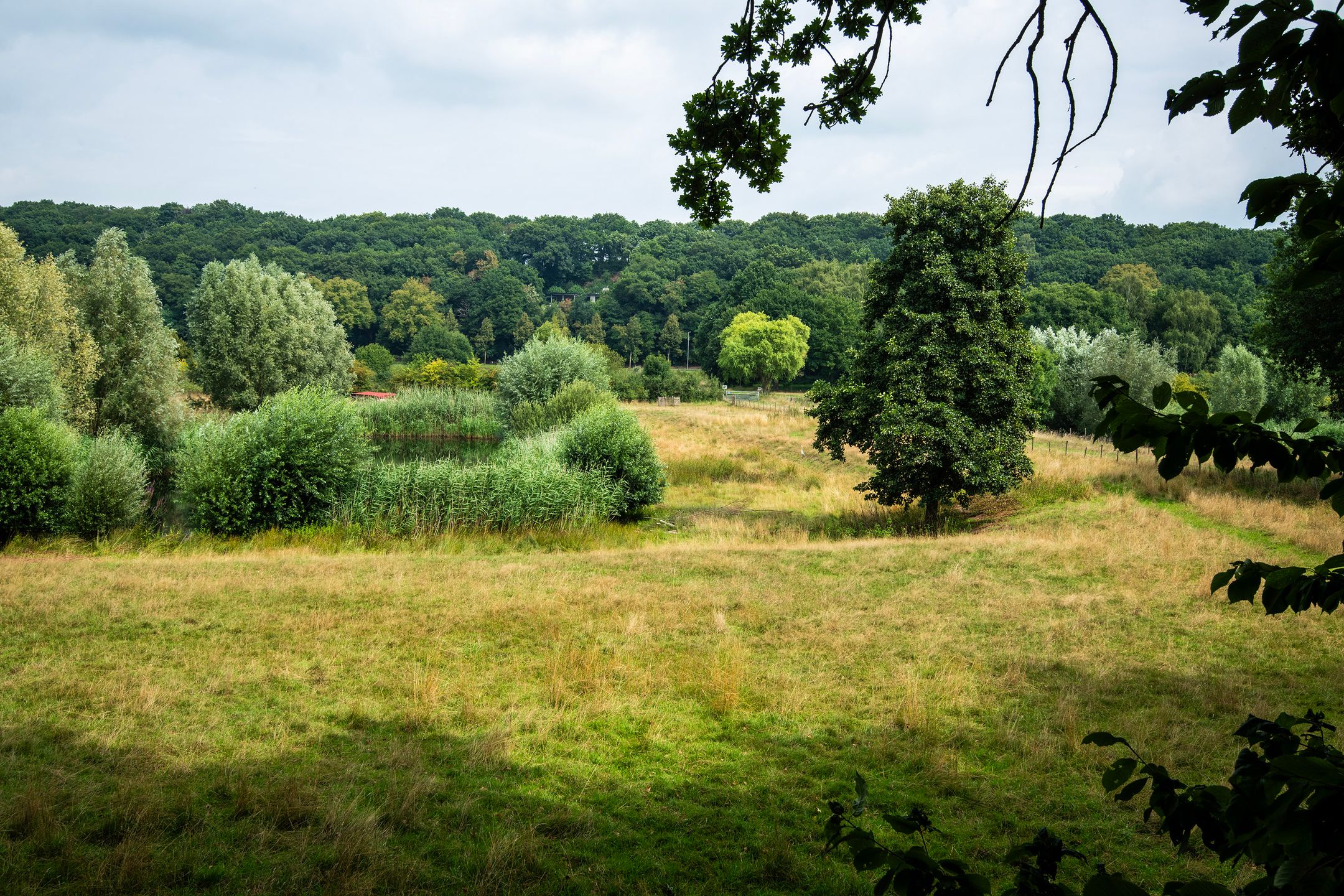 Foto 45 van Rijksweg 193