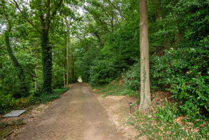 Foto 47 van Rijksweg 193