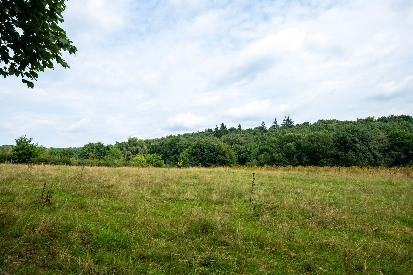 Foto 49 van Rijksweg 193