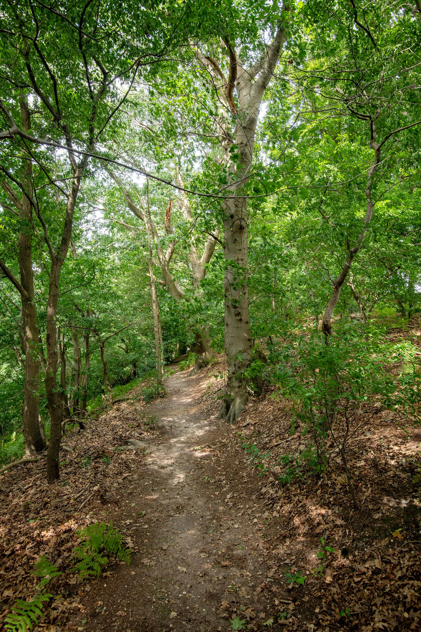 Foto 50 van Rijksweg 193