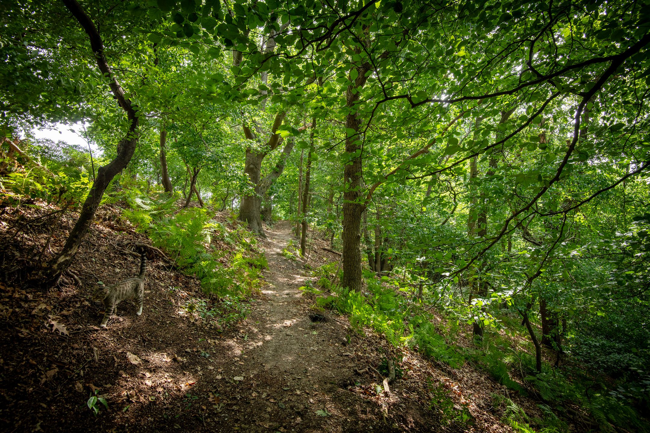 Foto 51 van Rijksweg 193