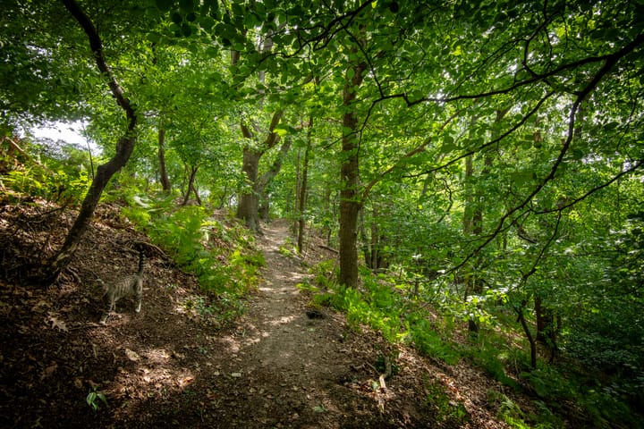 Foto 51 van Rijksweg 193