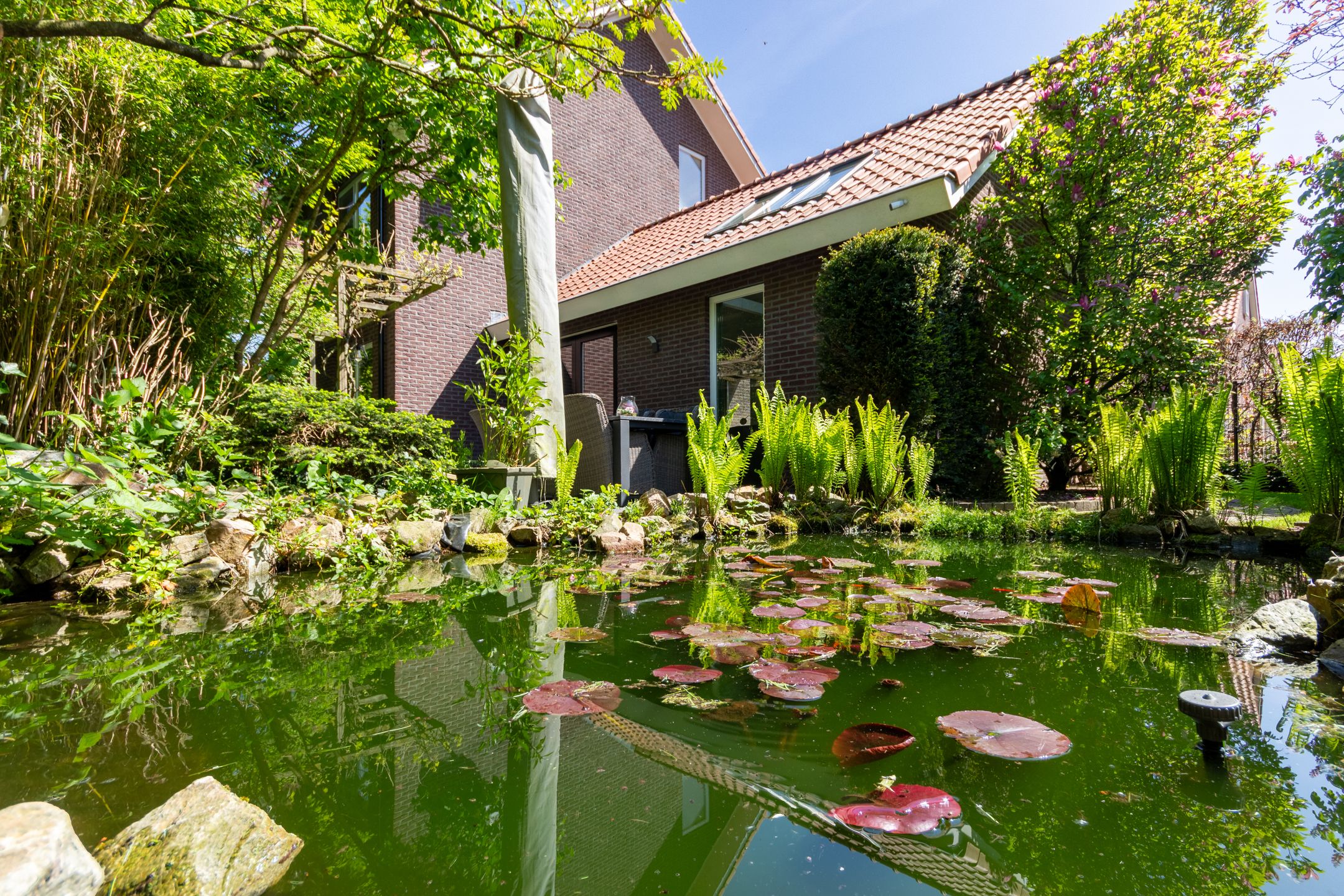 Foto 51 van Braamberg 5