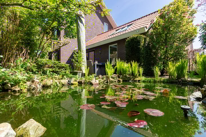 Foto 49 van Braamberg 5