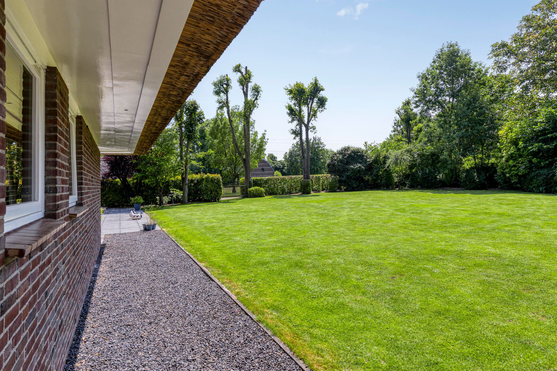 Foto 48 van Wageningsestraat 53