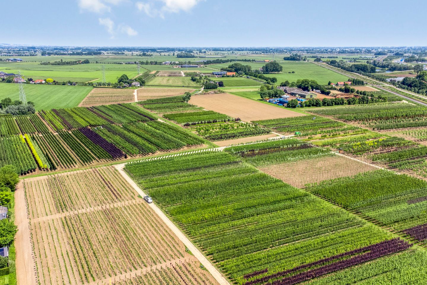 Foto 74 van Wageningsestraat 53