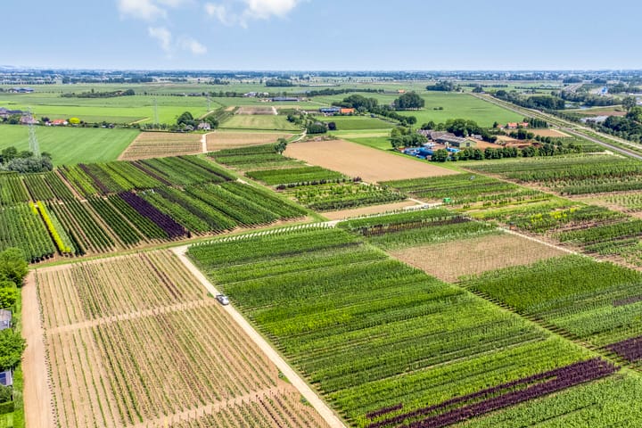 Foto 74 van Wageningsestraat 53