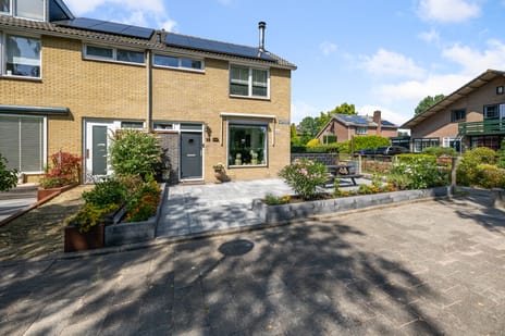 undefined main image