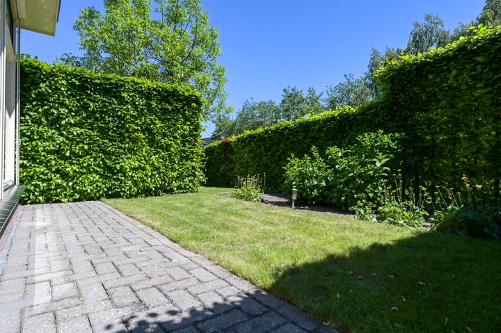 Foto 65 van Bekestere 8