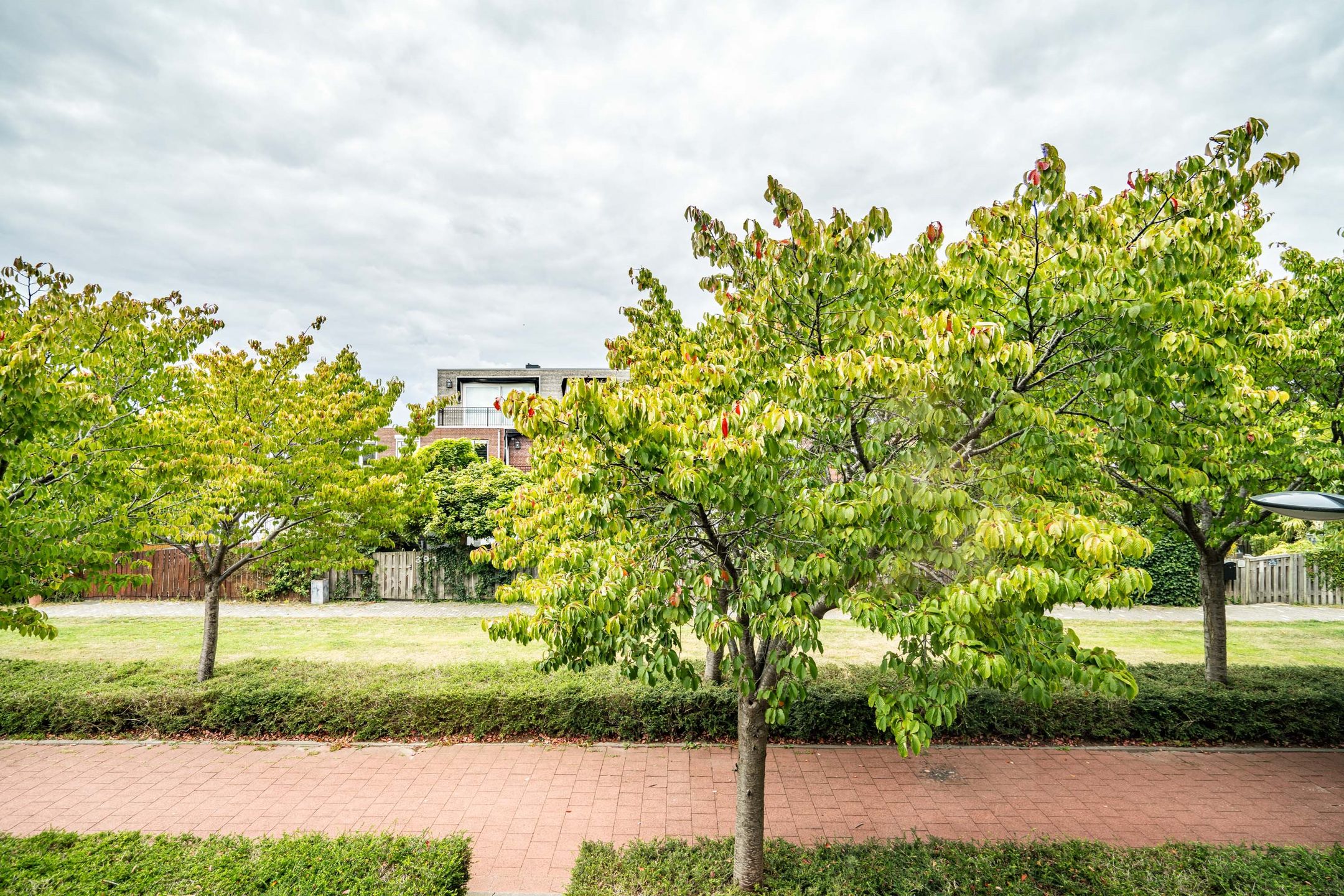 Foto 36 van Strijplaan 387