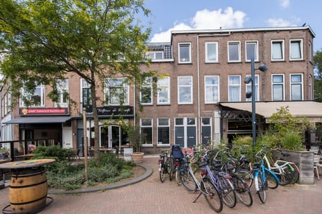 Bosboomstraat thumbnail