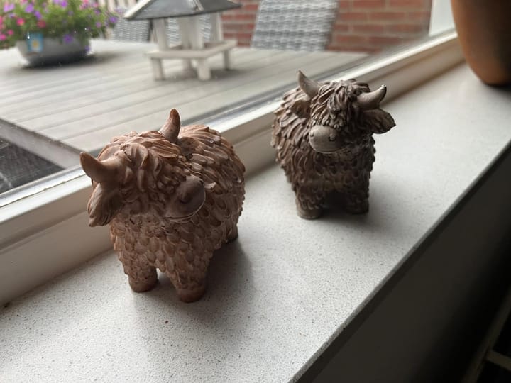 Foto 14 van Aardbeivlinder 5