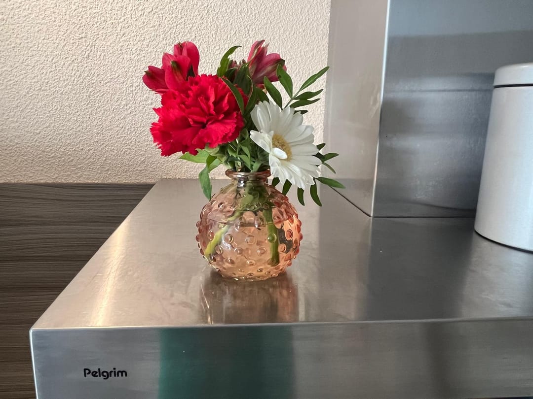 Foto 17 van Aardbeivlinder 5