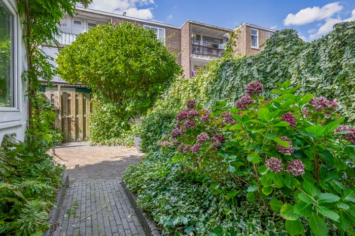 Foto 20 van van Schravendijkplein 37