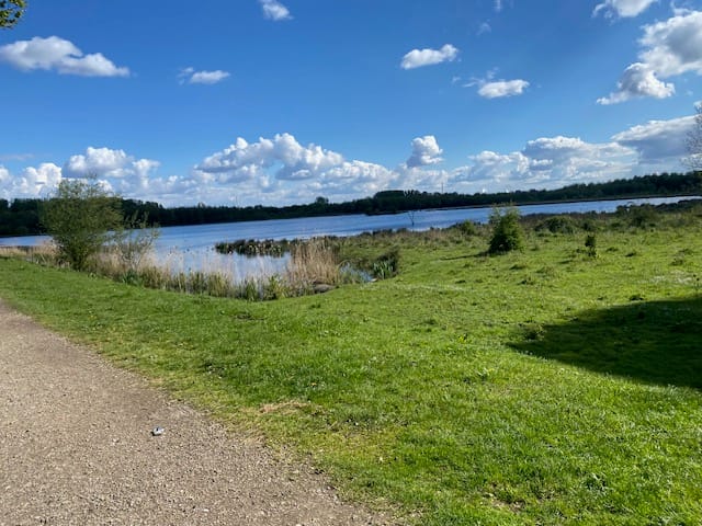 Foto 34 van van Schravendijkplein 37