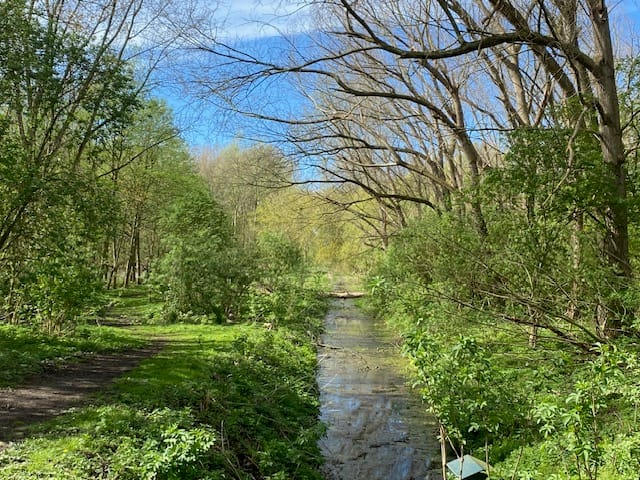 Foto 35 van van Schravendijkplein 37