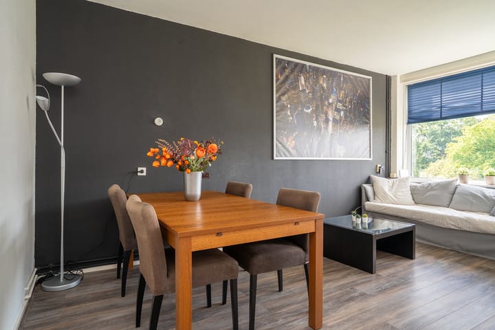 Photo 10 of Roelof van Schevenstraat 91