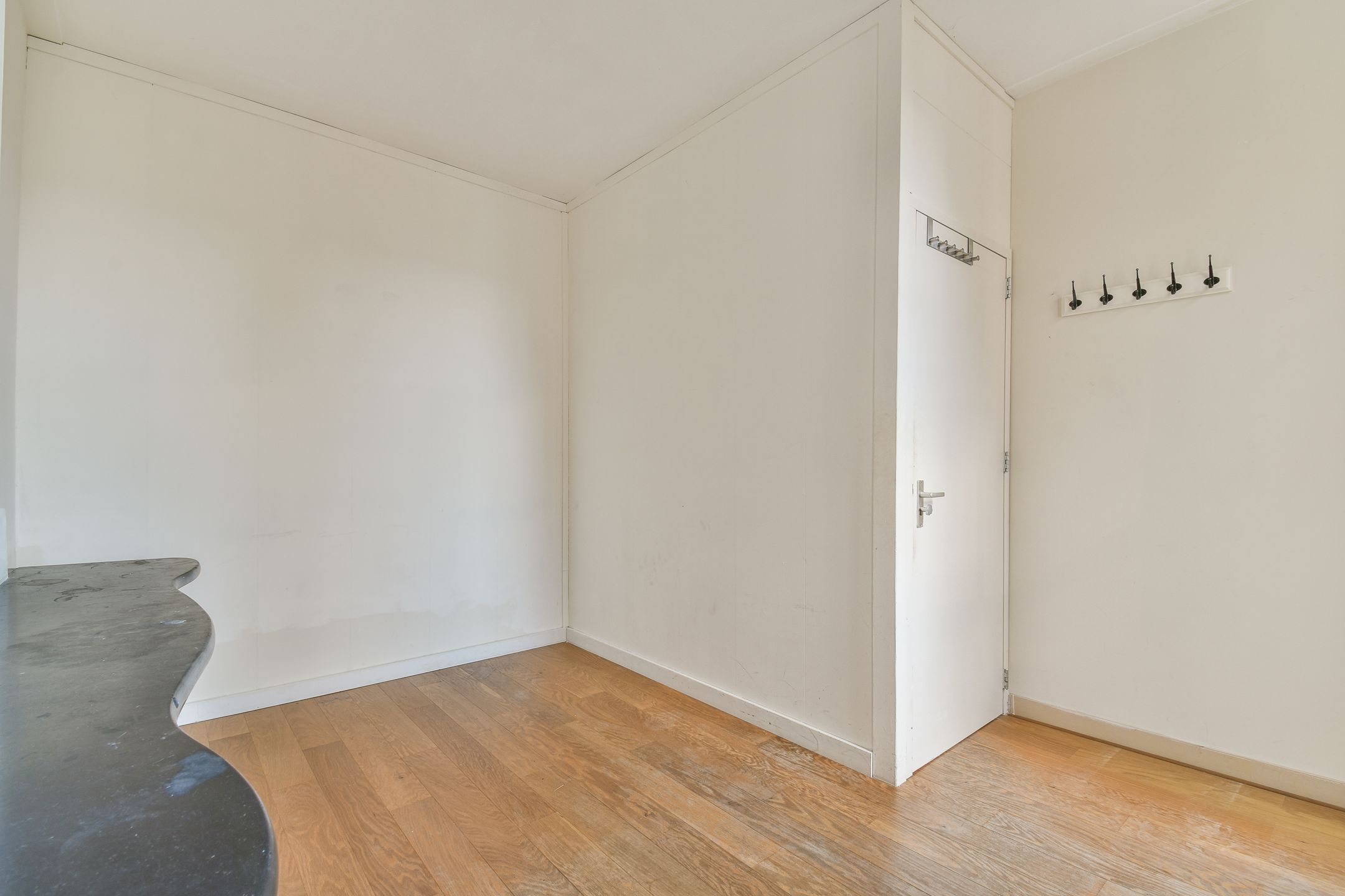 Foto 12 van Hemonystraat 53-2