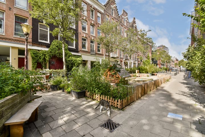 Foto 21 van Hemonystraat 53-2