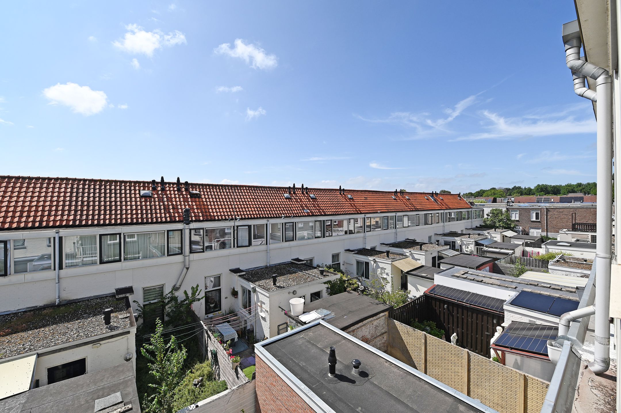 Photo 45 of Stadstuinen 31