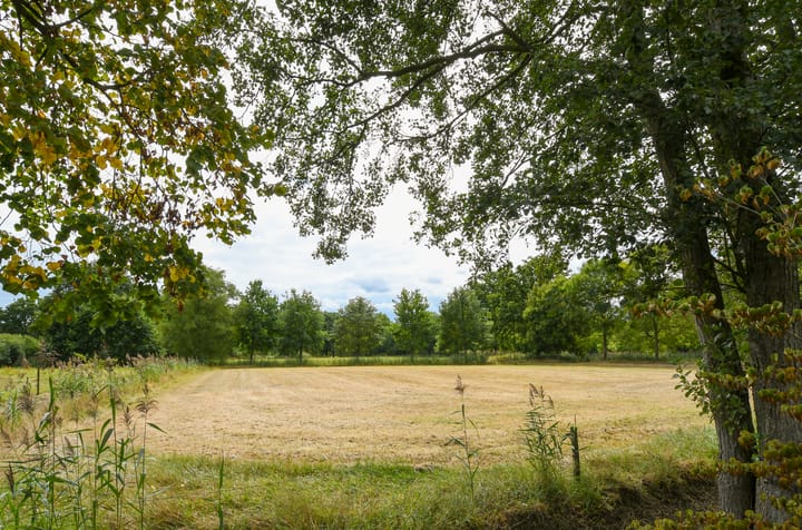 Foto 54 van Termeidesteeg 1