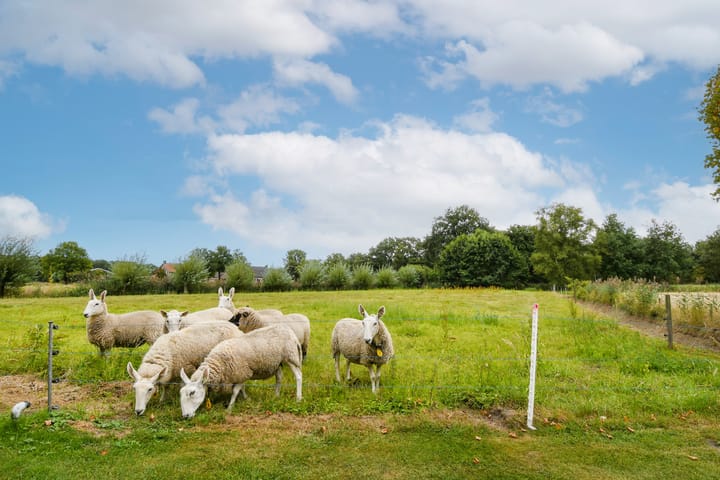 Foto 56 van Termeidesteeg 1