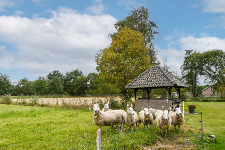 Foto 57 van Termeidesteeg 1