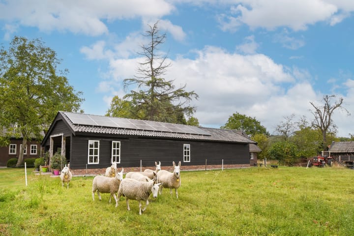 Foto 59 van Termeidesteeg 1