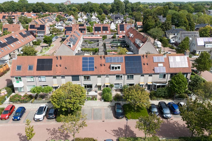 Foto 2 van Paradijsvogel 48