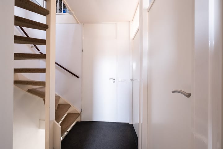 Foto 13 van Paradijsvogel 48