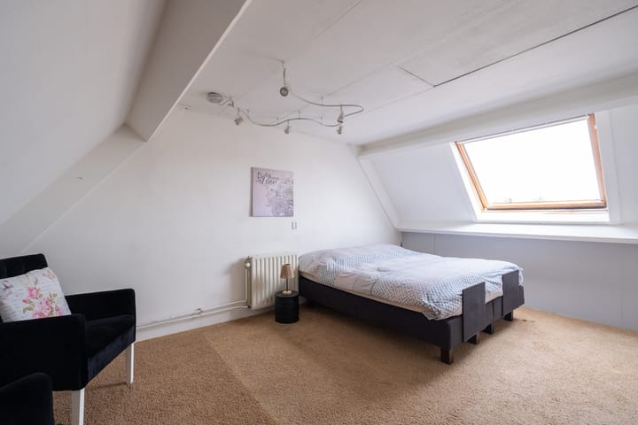 Foto 22 van Paradijsvogel 48