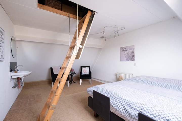 Foto 24 van Paradijsvogel 48