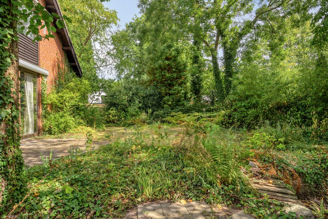 Foto 31 van Knollenberg 16