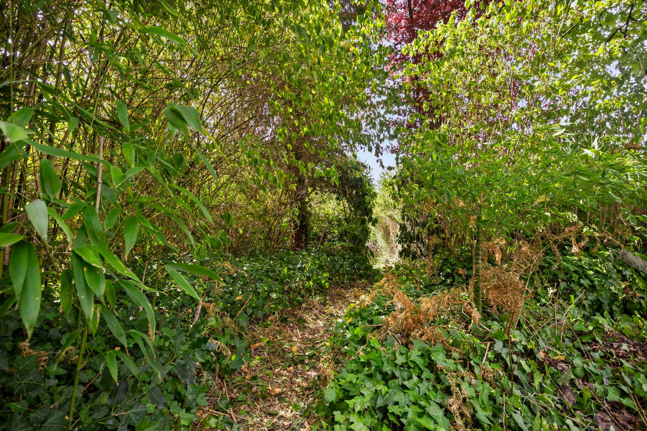 Foto 36 van Knollenberg 16