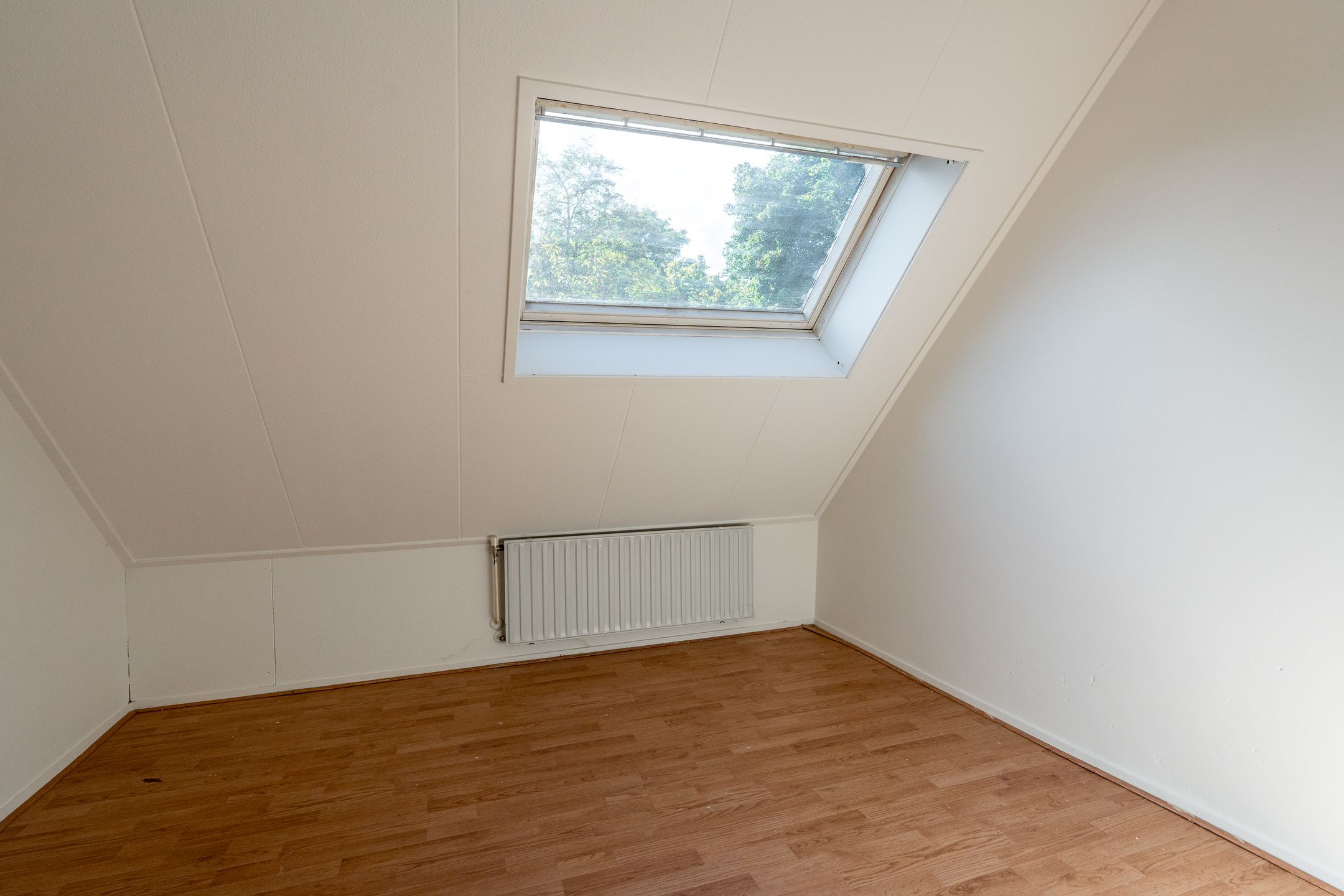 Photo 18 of Teisterbant 4