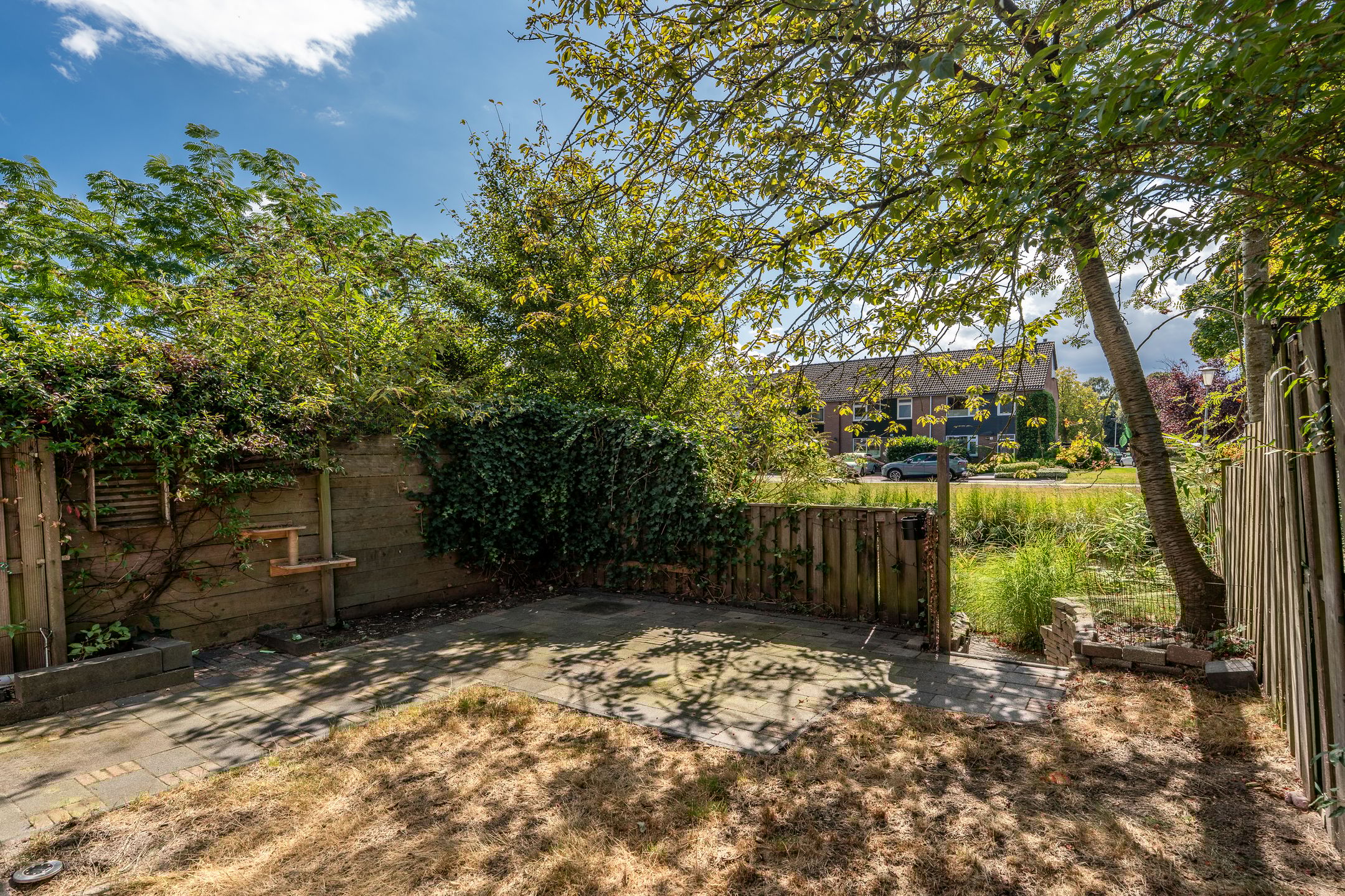 Photo 33 of Teisterbant 4