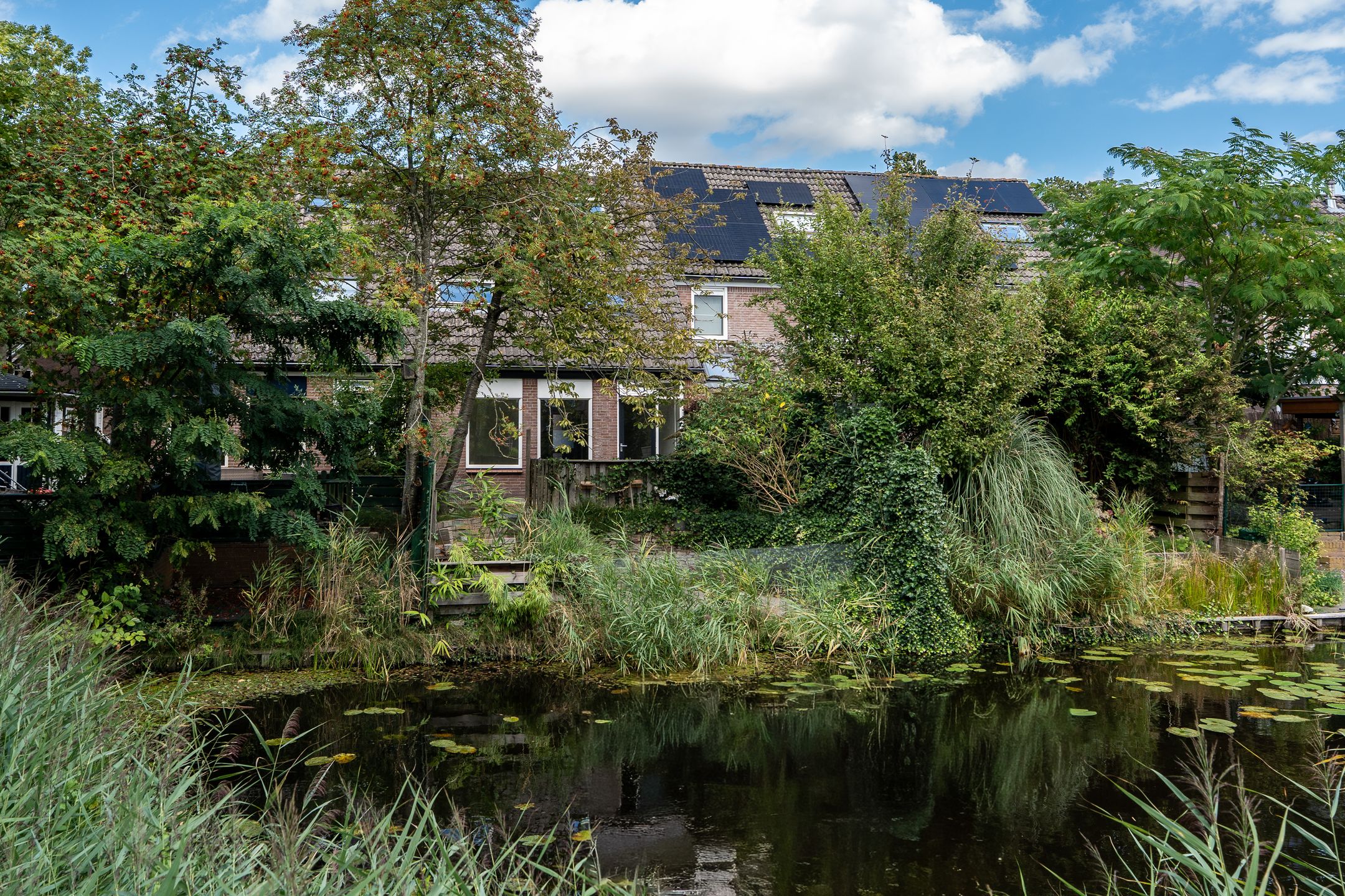 Photo 42 of Teisterbant 4