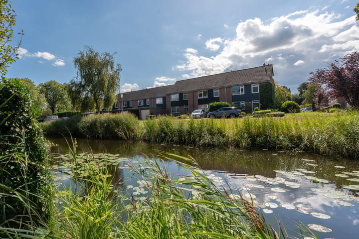 Foto 36 van Teisterbant 4