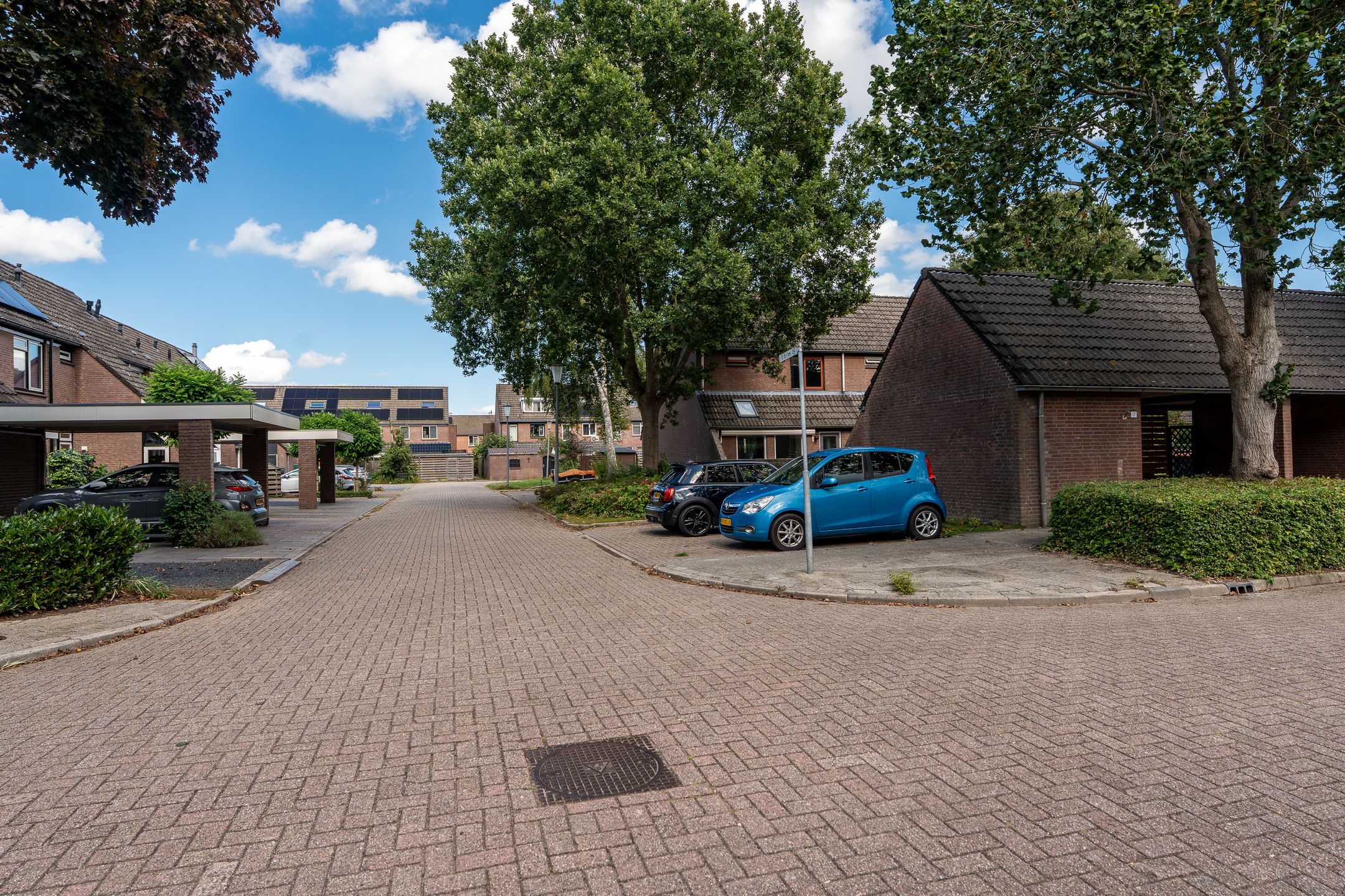 Photo 39 of Teisterbant 4