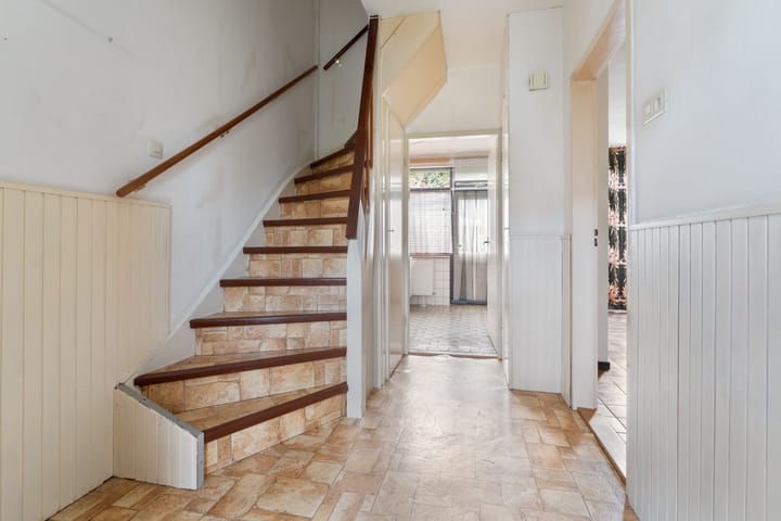 Photo 7 of De Olmen 4