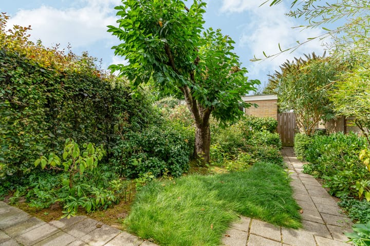 Photo 20 of De Olmen 4