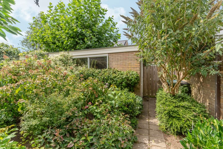 Photo 21 of De Olmen 4