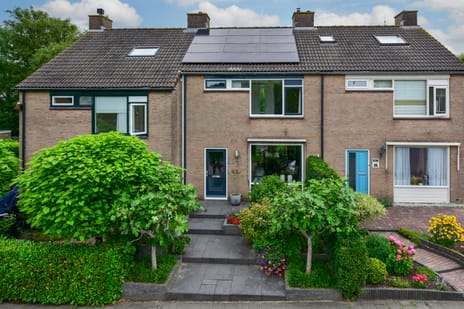 undefined main image