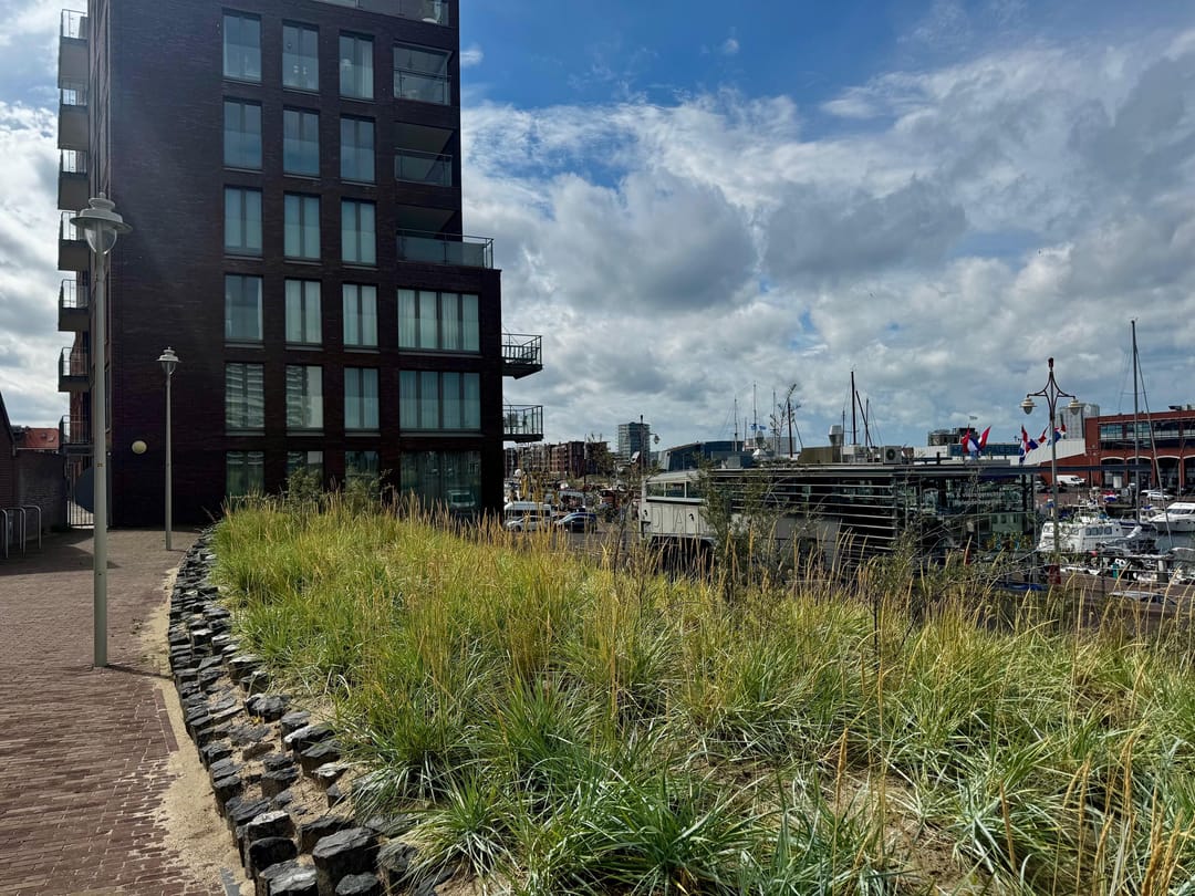 Photo 1 of Dr. Lelykade 36-B